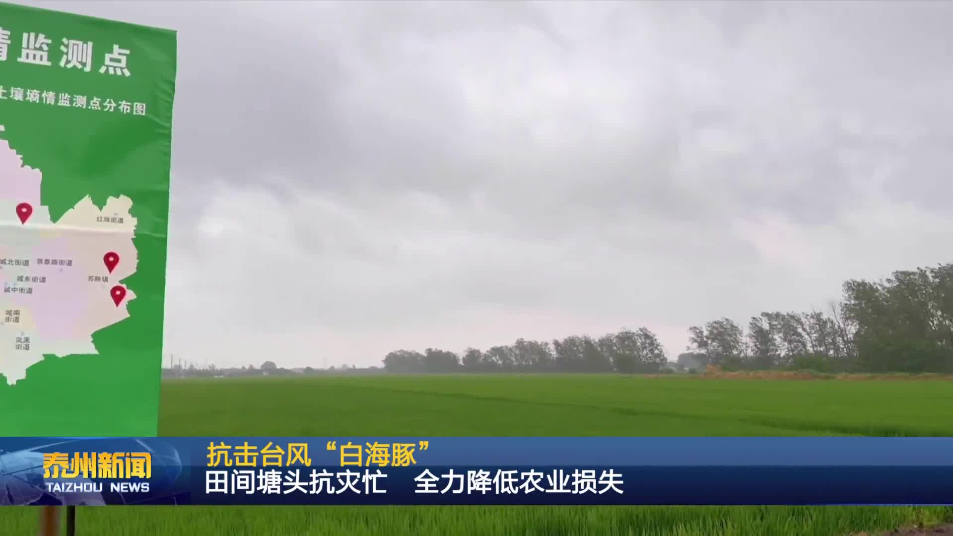 抗击台风“白海豚”  田间塘头抗灾忙 全力降低农业损失